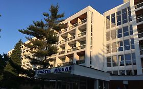 Hotel Bâlea
