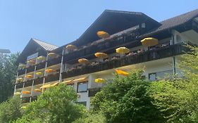 Hotel Schauinsland Bad Peterstal