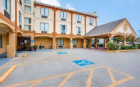 Comfort Inn And Suites Market Center Dallas