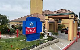 Surestayplus Hotel By Best Western San Jose Central City