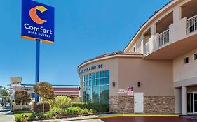 Comfort Inn And Suites Near Universal Studios Hollywood