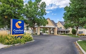 Comfort Inn And Suites Carbondale