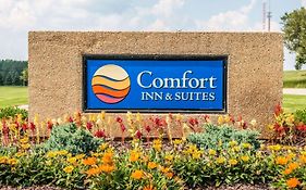 Comfort Inn And Suites Mount Pleasant Mi