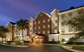 Staybridge Suites Tampa East Brandon