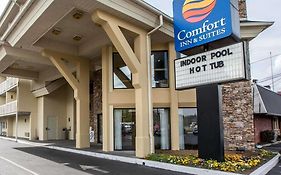 Comfort Inn And Suites Dollywood Lane