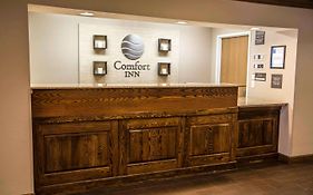 Comfort Inn Bradford Pa