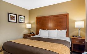 Comfort Inn And Suites Peachtree Corners