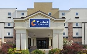 Comfort Inn & Suites Michigan City