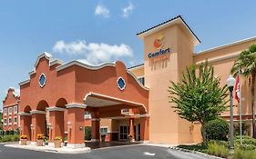 Comfort Inn And Suites The Villages Florida