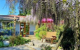 Wisteria Guest House