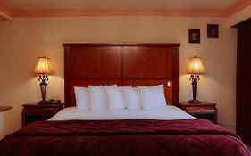 Quinta Del Rey Hotel Toluca 4*