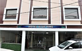Hotel Blue Pine Haridwar 3*