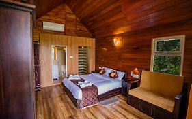 Green Mystic Resort Munnar