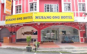 Musang Ong Hotel