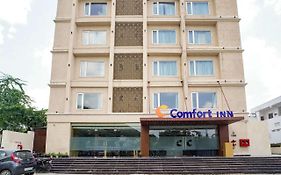 Comfort Inn Udaipur   India