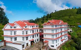 Hotel Twin Towers Shimla