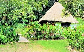 Maya Mountain Lodge Belize