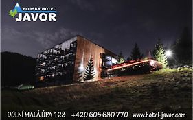 Horsky Hotel Javor