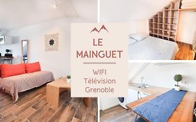 Le Mainguet - Appartement cosy - Grenoble
