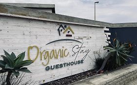 Organic Stay Guesthouse