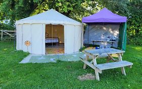 2 Rent A Glamping Tent With Comfy Double Bed, Small Sofa Bed And Kitchenette No Bedding Supplied