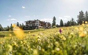 Hotel Steger Dellai Alpe Di Siusi 4*