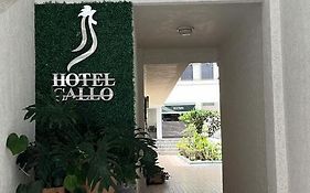 Hotel Gallo Rubio Guadalajara