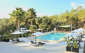 Nomad Olympos Adults Only