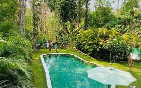 Island Pool Villa in Goa