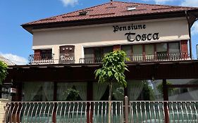 Pensiune Turistica Tosca Guest House