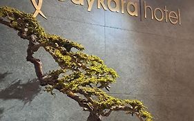 Baykara Hotel  3*