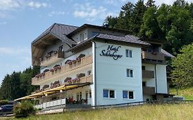 Hotel Schönberger Nussdorf Am Attersee Österreich