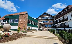 Naturpark Hotel Ebnisee  3*