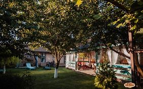 Casa Badea Guest House Murighiol România
