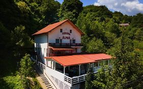 Pensiunea Alpina Guest House