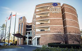 Comfort Suites Raleigh Durham Airport/research Triangle Park 2*