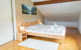 Lions Apartments - Erholung Und Vergnugen In Bad Tatzmannsdorf