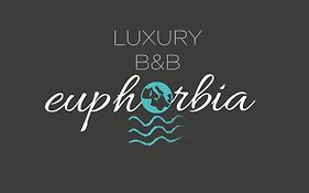 Luxury B&B Euphorbia