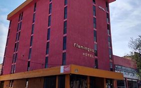 Hotel Flamingos Guadalajara 3*