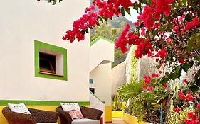 Casa Regina Tenerife Bed And Breakfast 3*