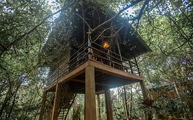 Inn On The Tree Eco Resort Sigiriya