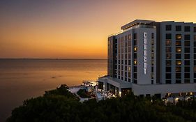 The Current Hotel Tampa 4*