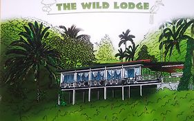 Wild Lodge Taman Negara