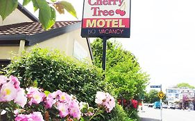 Cherry Tree Lodge Motel Christchurch 3* New Zealand