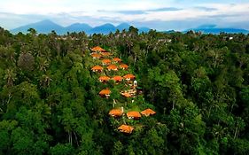 巴厘岛南迪尼丛林度假酒店