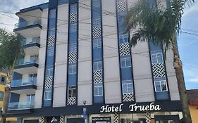 Hotel Trueba 3*