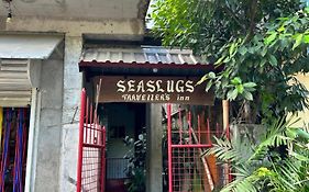 Seaslugs Traveller'S Inn