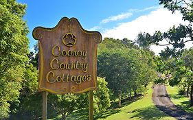 Cooroy Country Cottages photos Exterior