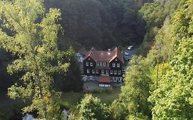 Hotel Waldhaus Wolfsbachmühle