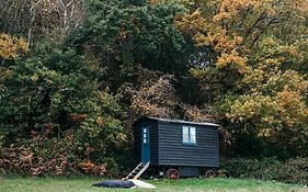 Beautiful, Secluded Shepherd'S Hut In The National Park